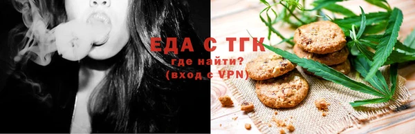индика Богородицк