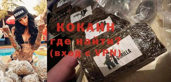 гашик Богородск