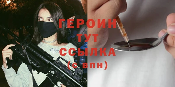 индика Богородицк