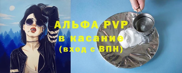 гашик Богородск