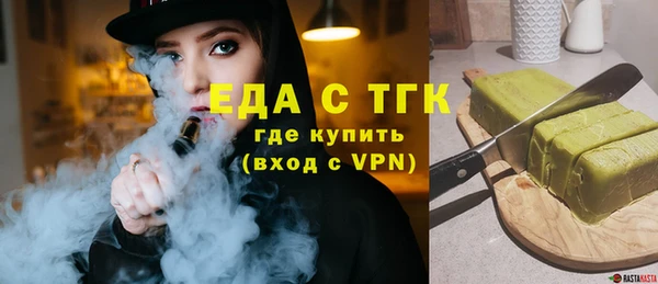 индика Богородицк
