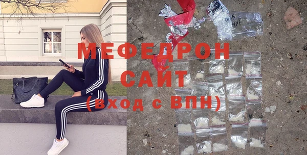 индика Богородицк