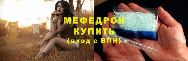 индика Богородицк