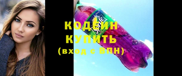 ECSTASY Богданович