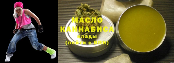индика Богородицк