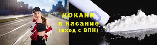 индика Богородицк
