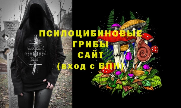 индика Богородицк