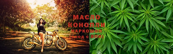 гашик Богородск