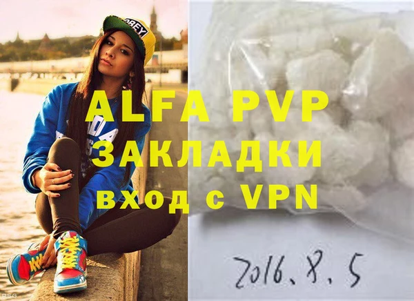 ECSTASY Богданович