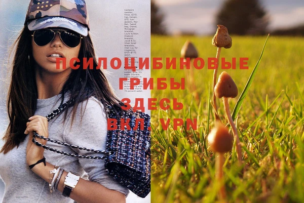 индика Богородицк