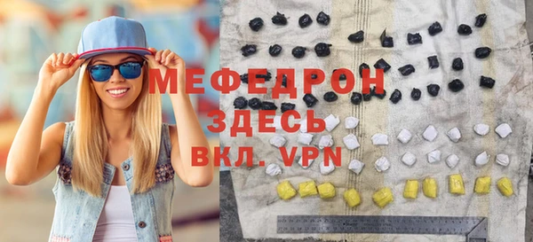 индика Богородицк