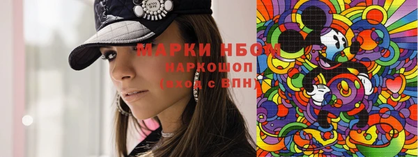 индика Богородицк
