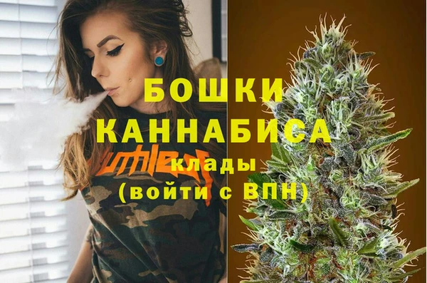 ECSTASY Богданович