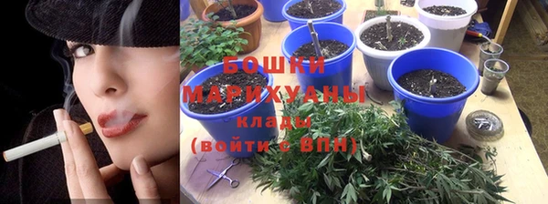 гашик Богородск