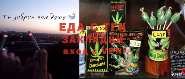 индика Богородицк