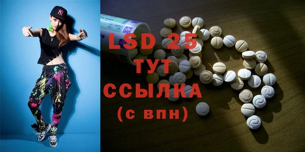 индика Богородицк